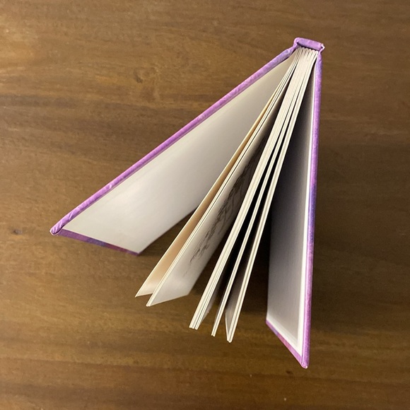 The Prize: A Collection of Stories Written and Illustrated by Flavia Weedn - Picture 6 of 6